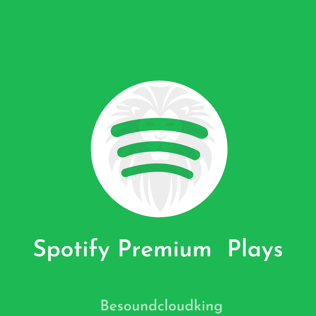 Buy Spotify Premium Plays BesoundcloudKing